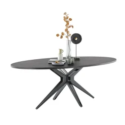 Profijt Meubel Eettafel Levado 225x120 cm ovaal