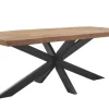Profijt Meubel Eettafel Newhaven mangohout 200x100 cm rechthoekig