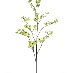 Profijt Meubel Kunstbloem Dogwood groen