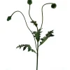 Profijt Meubel Kunstbloem Poppy Capsuie groen