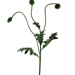 Profijt Meubel Kunstbloem Poppy Capsuie groen