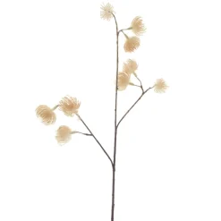 Profijt Meubel Kunsttak Dorzano 55 cm bruin